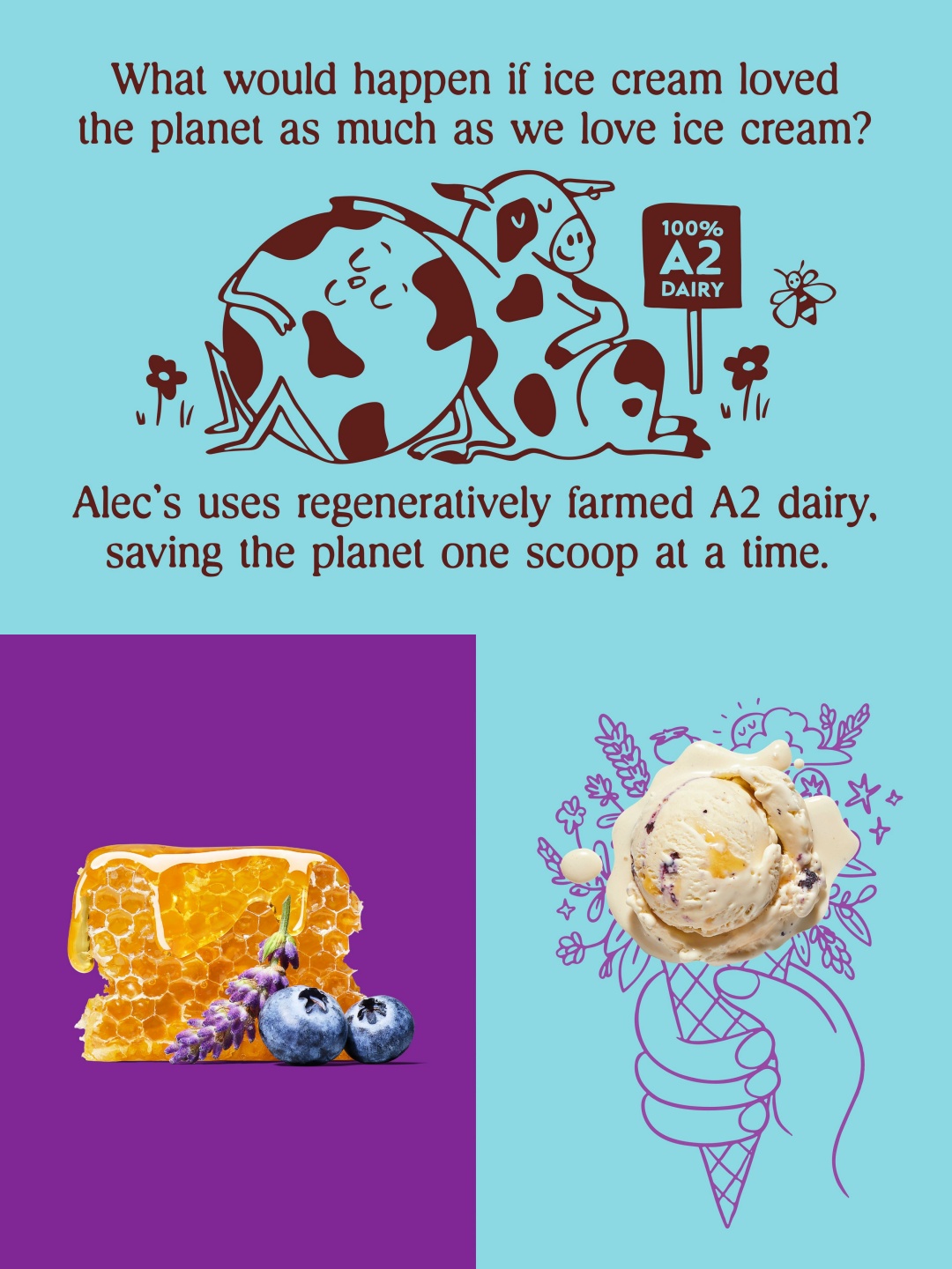 1764914673469817.jpg 2.jpg